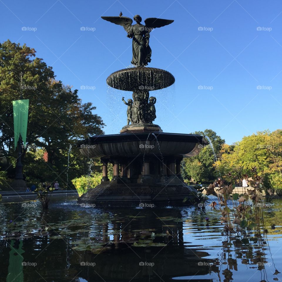 Fountain from Central Park, New York. Beautifully located by the lake and lovely place to visit when in the park! 