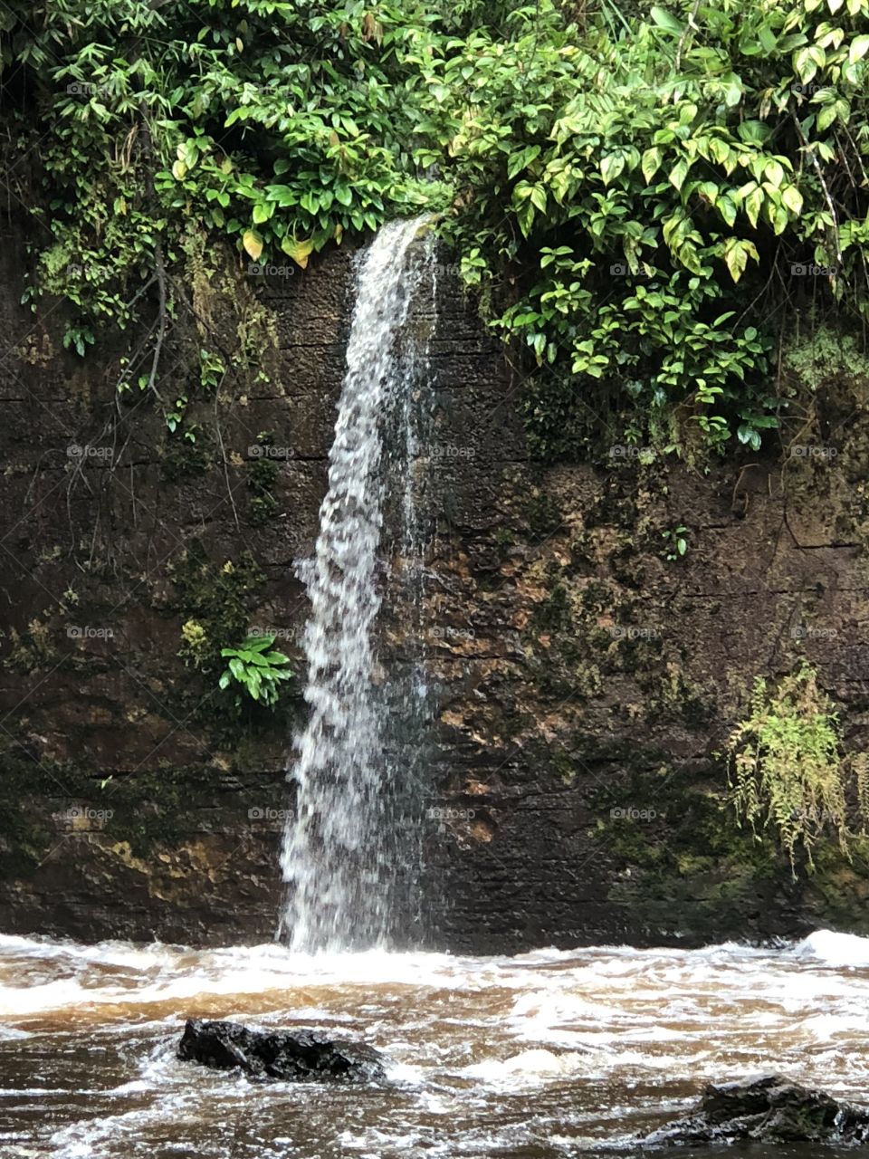 Cachoeira do Santuário - Presidente Figueiredo - Manaus AM - BRAZIL - localizada a 100 km de Manaus com águas limpas e ótimas para banho