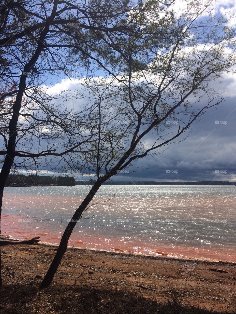 Afternoon at West Point