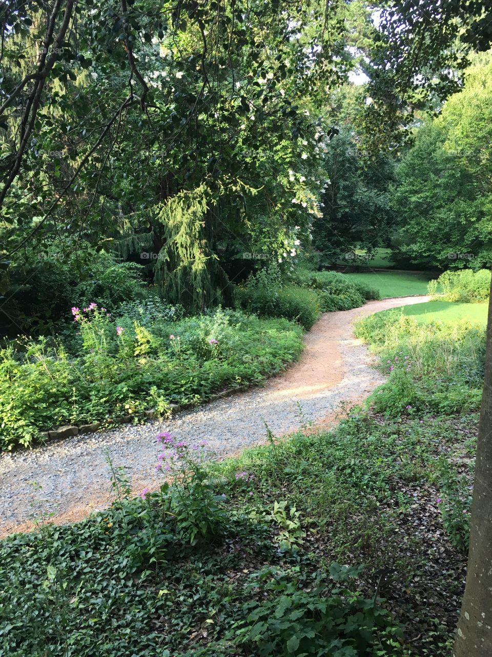Garden path.