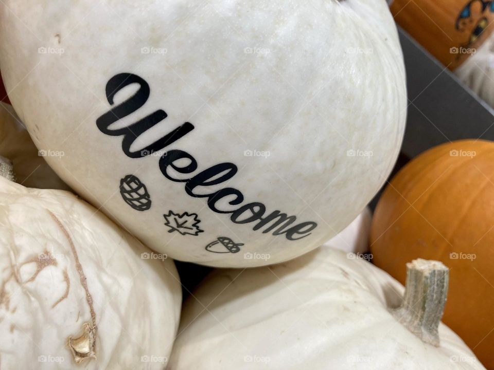 Welcome pumpkins 