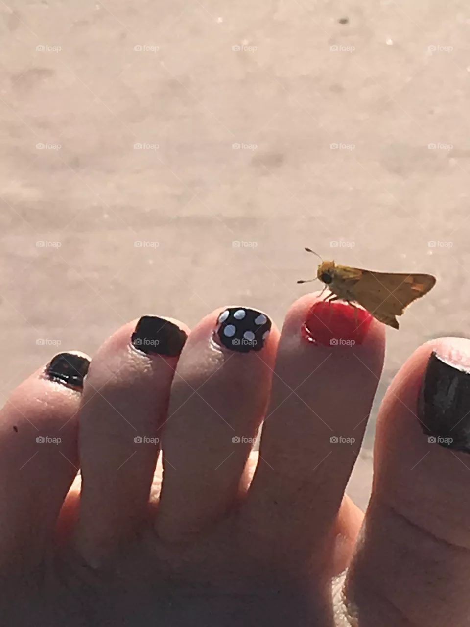 Toes