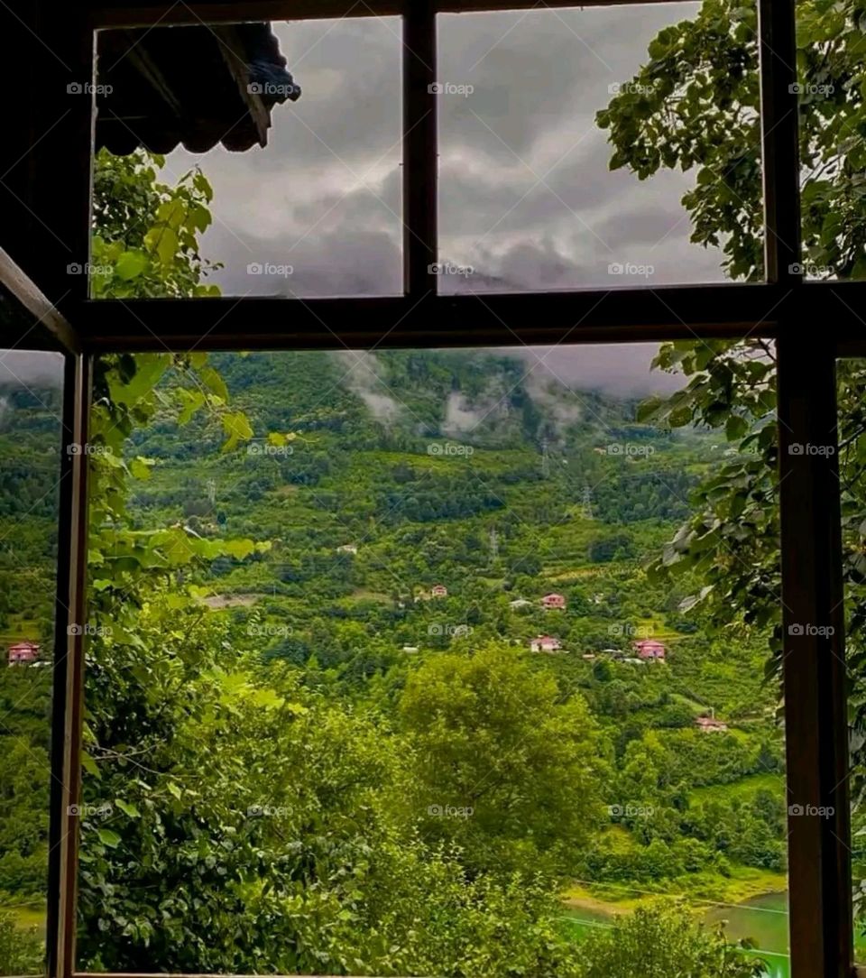 A very beautiful picture, and there is no better picture than it. There is no better picture of green herbs and colorful, red and white roses than it. Glory be to God, the natural and picturesque view, and there is no more