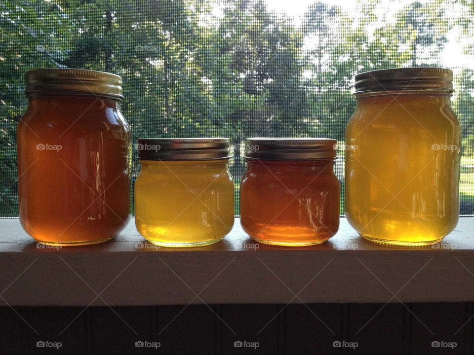 Sunny Cove New Farm Honey
