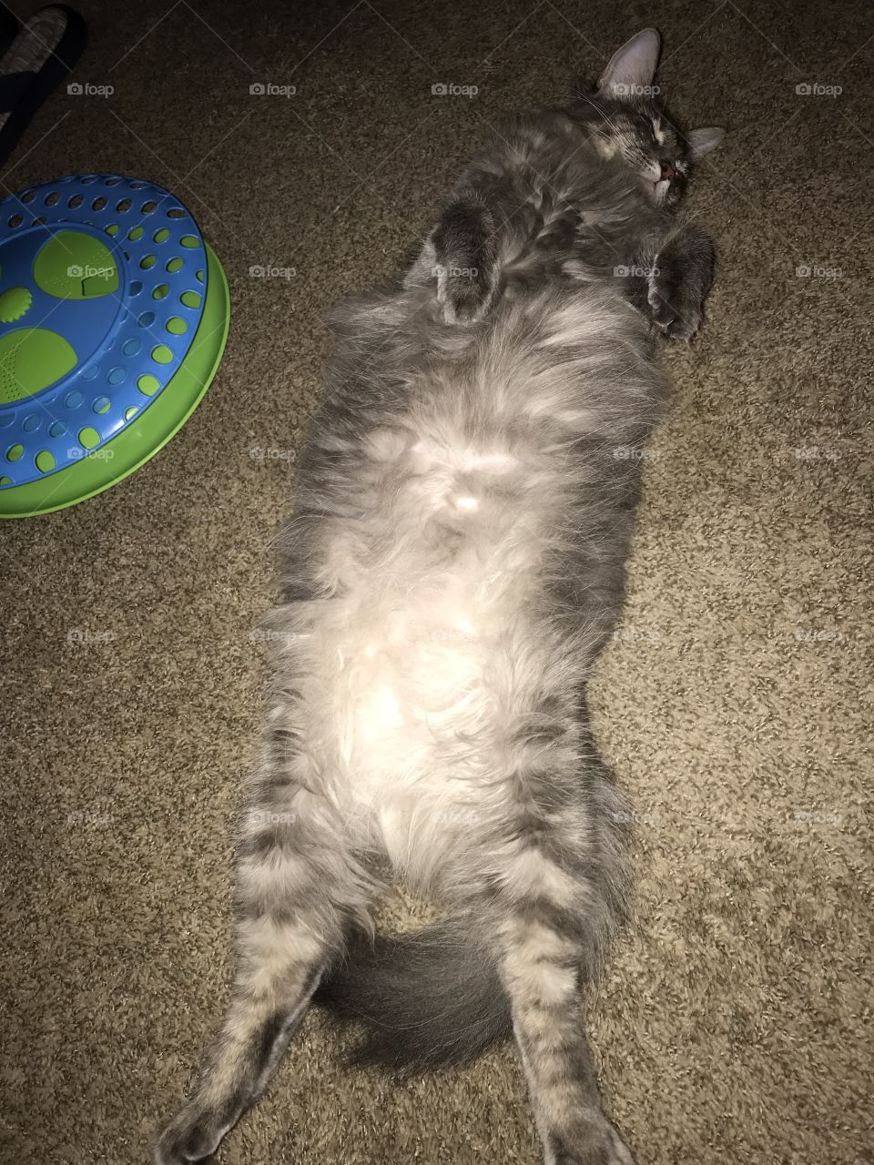 Here we are in glamour and gray we has played trying to pull the ball to stop the game. 