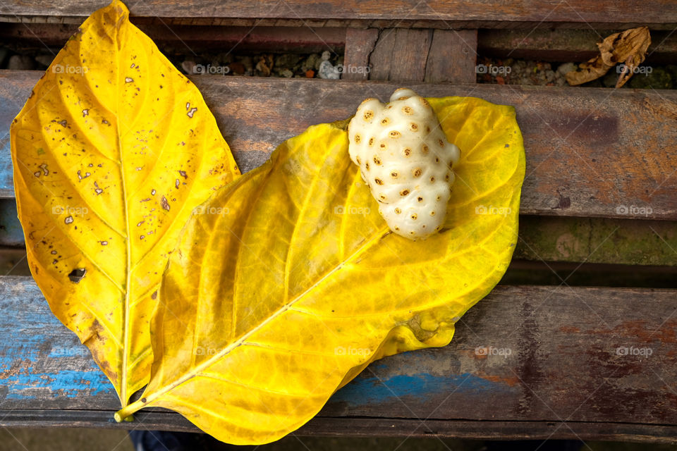 Yellow noni leaf fallen in autumn. Ripe noni on wooden board.