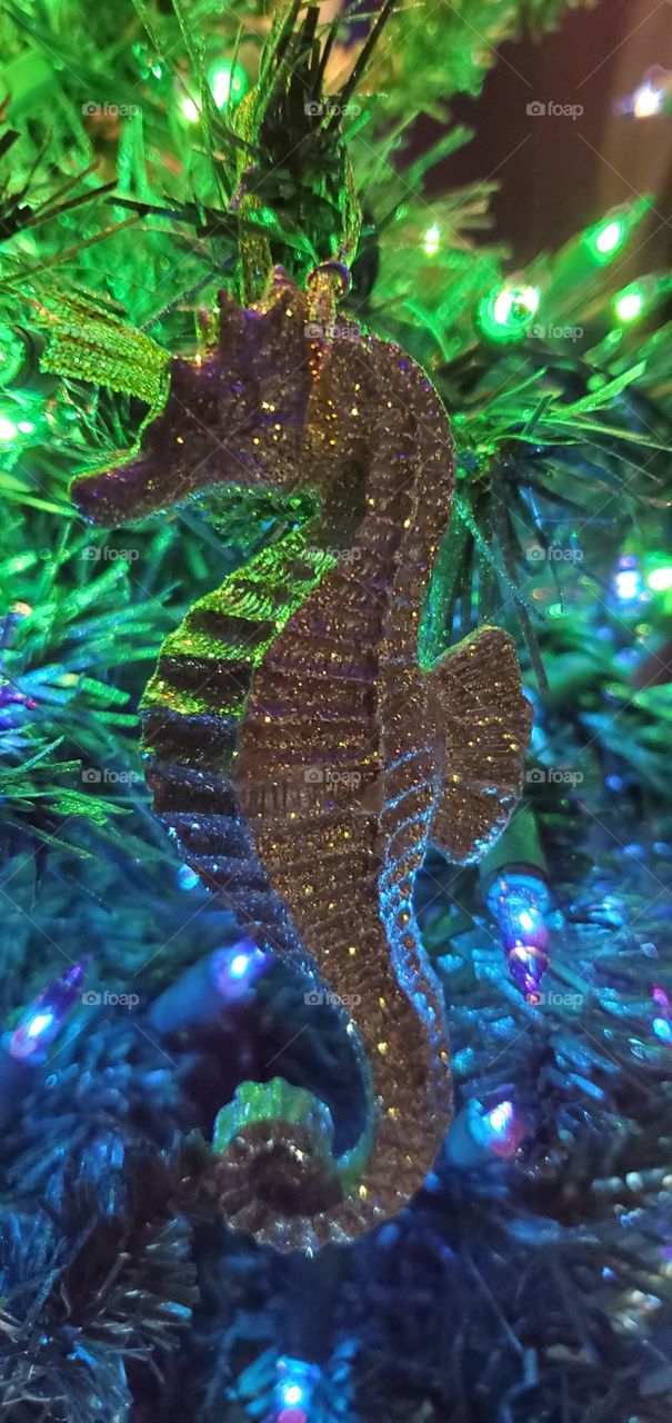 Seahorse ornament