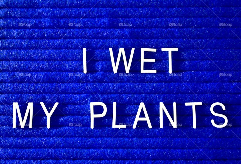 I wet my plants, words, words in the wild, billboard, letters, plants, watering plants 🌱