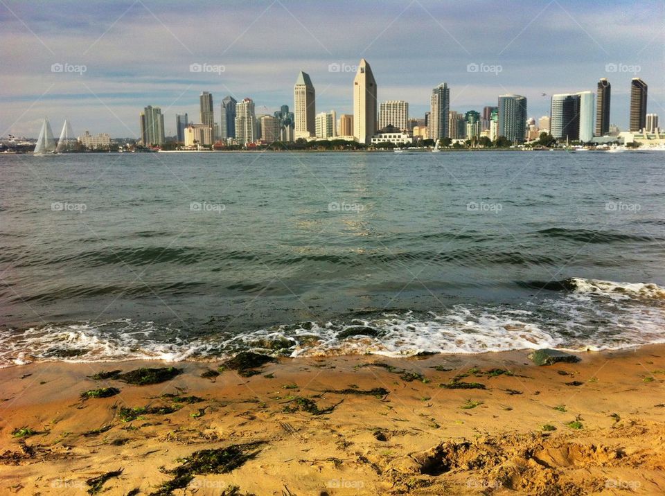 San Diego Skyline