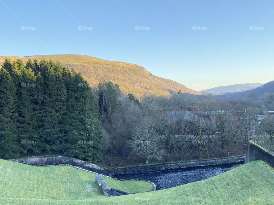 Perfectly cut grass. 