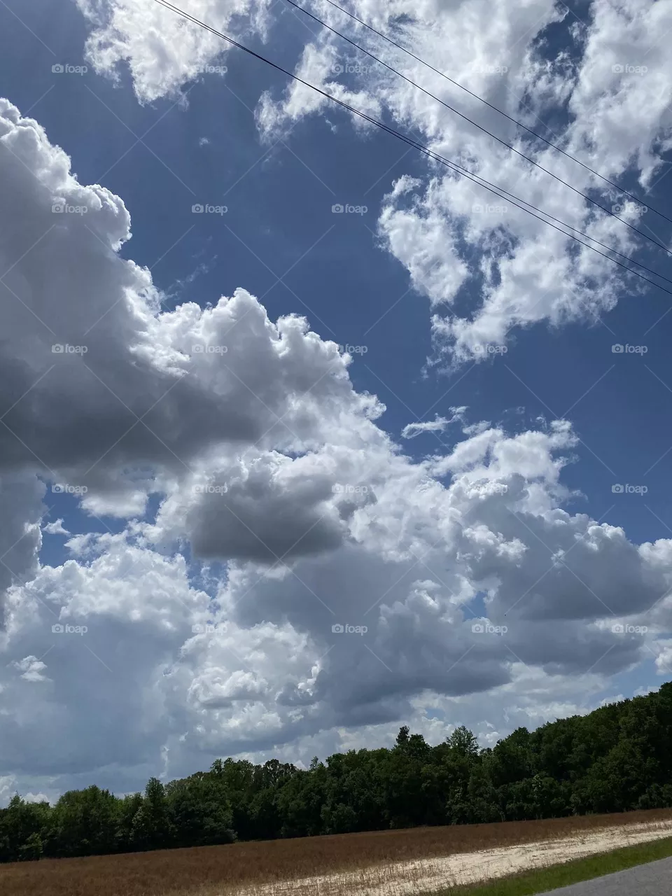 Before the rain 