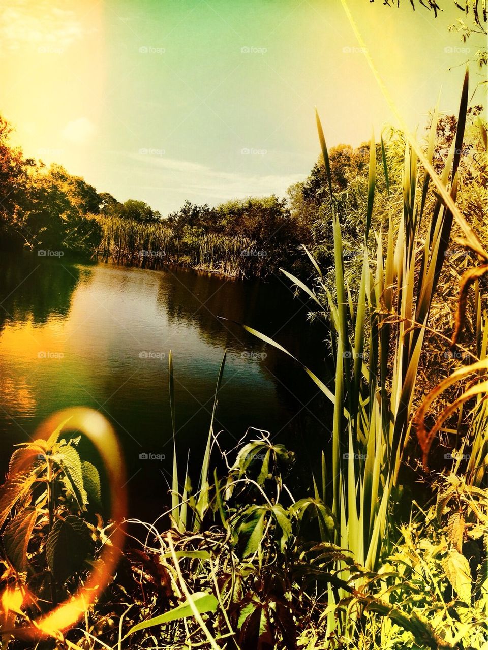 Tranquil lakeside memory