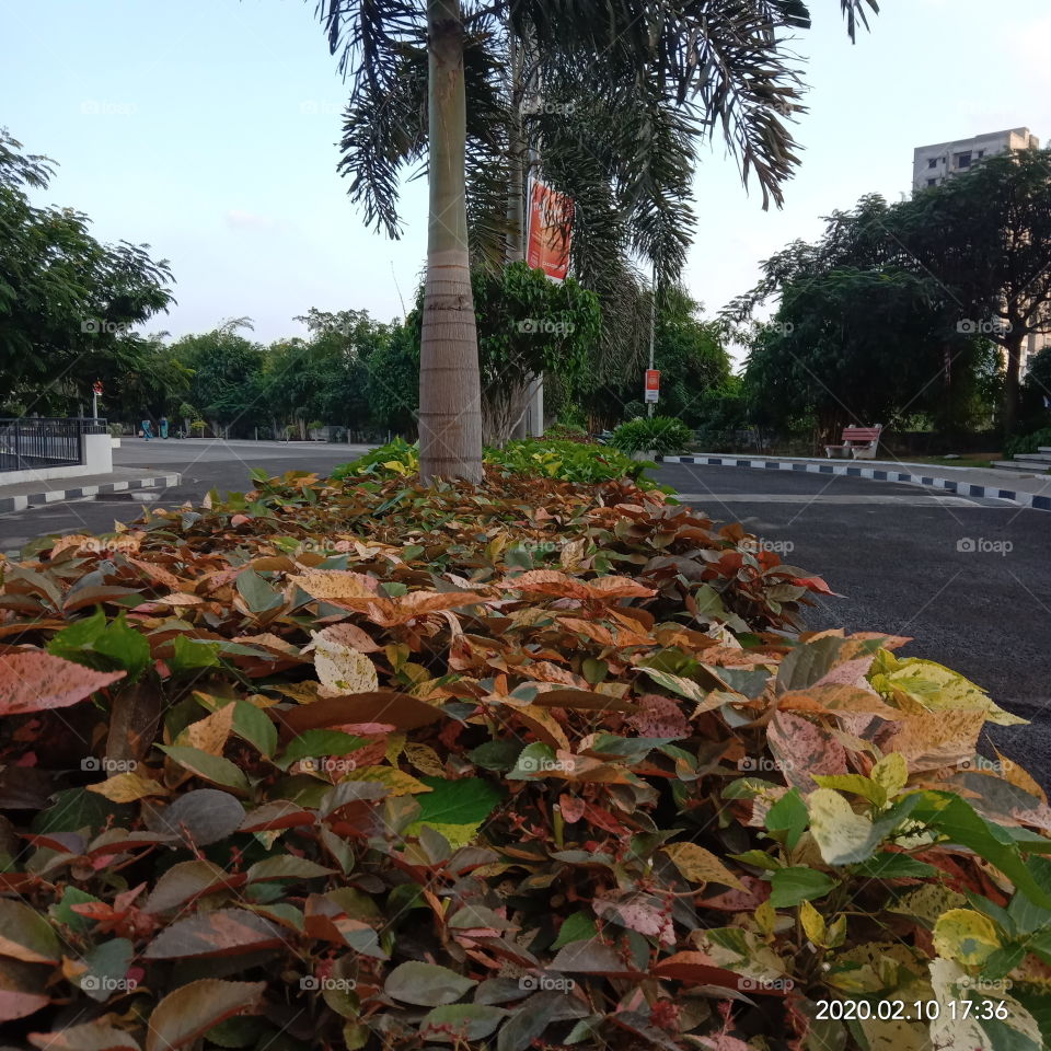 Beautiful summer time