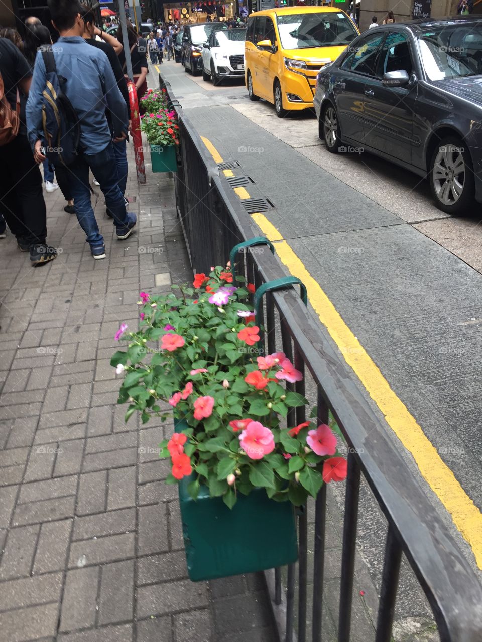 Flower Pots and Pink Flowers on Hong Kong Streets