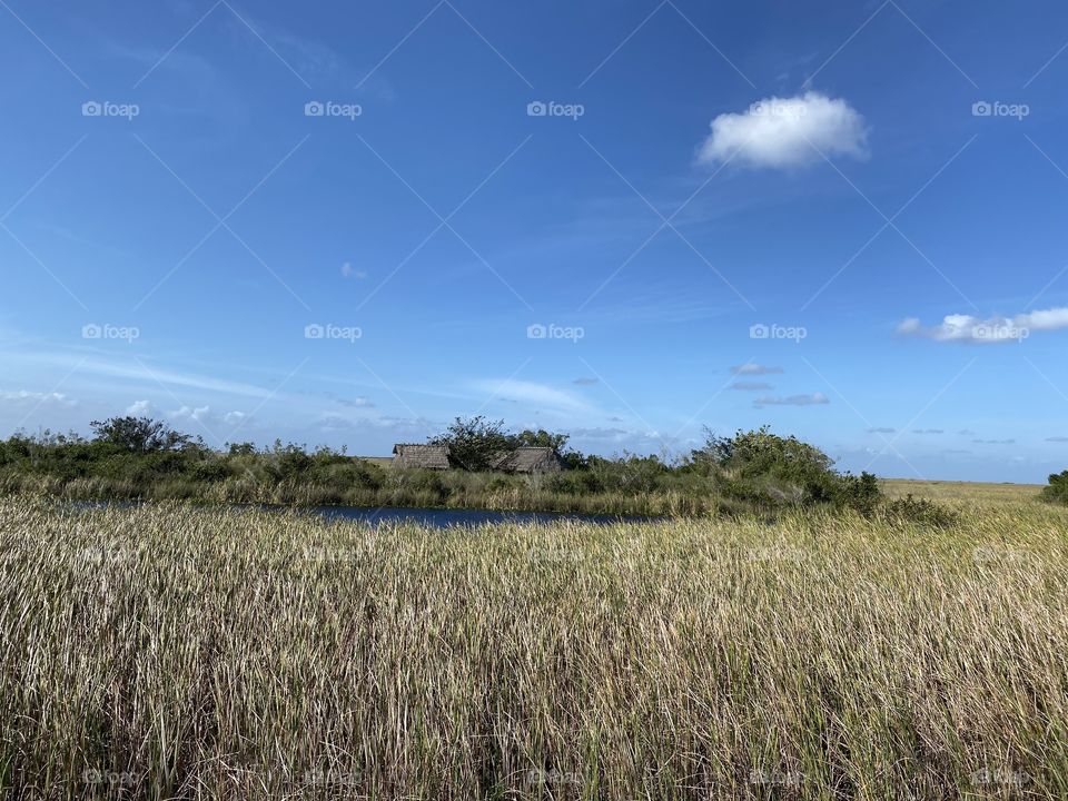 Everglades 4