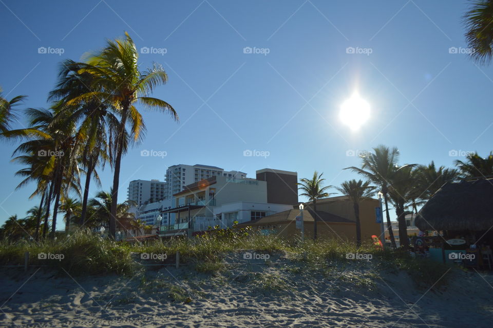 sunshine on the beach