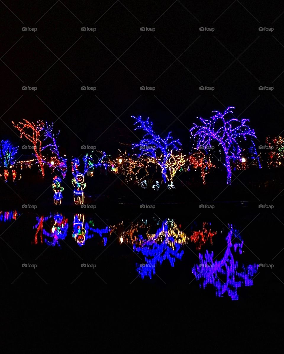 Christmas lights reflecting in a pond—taken in Chicago, Illinois 