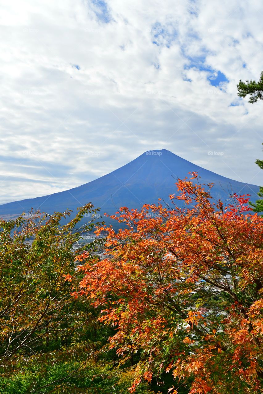 Mount Fuji in the fall