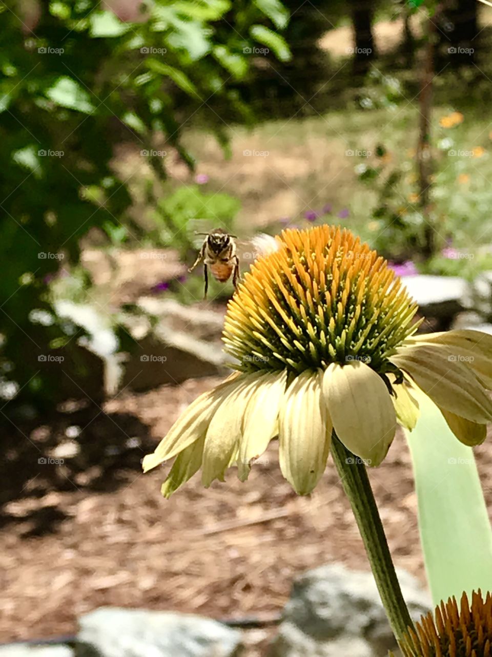 Bee ready for action!