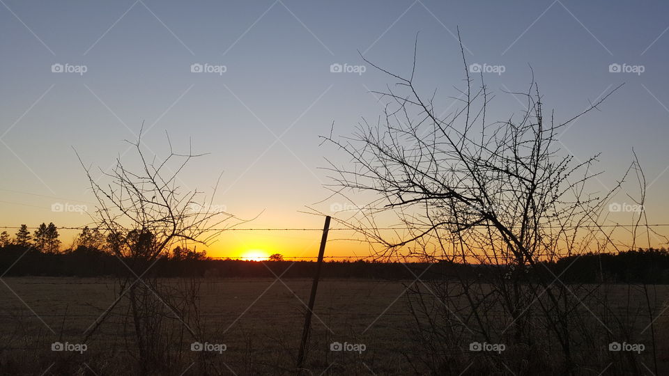 Sunset across the pasture
