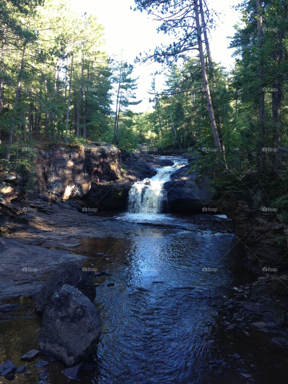 Wooded Waterfall