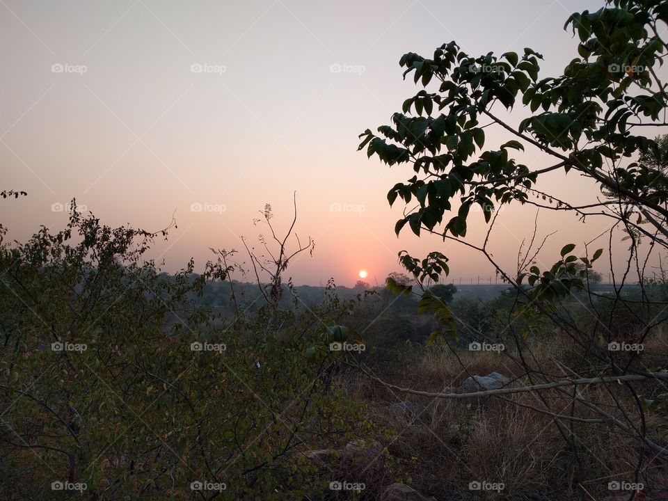 sunrise through the aravali.

aravali bio diversity park, India.