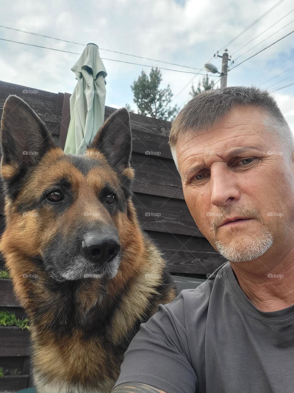 Друзья-товарищи