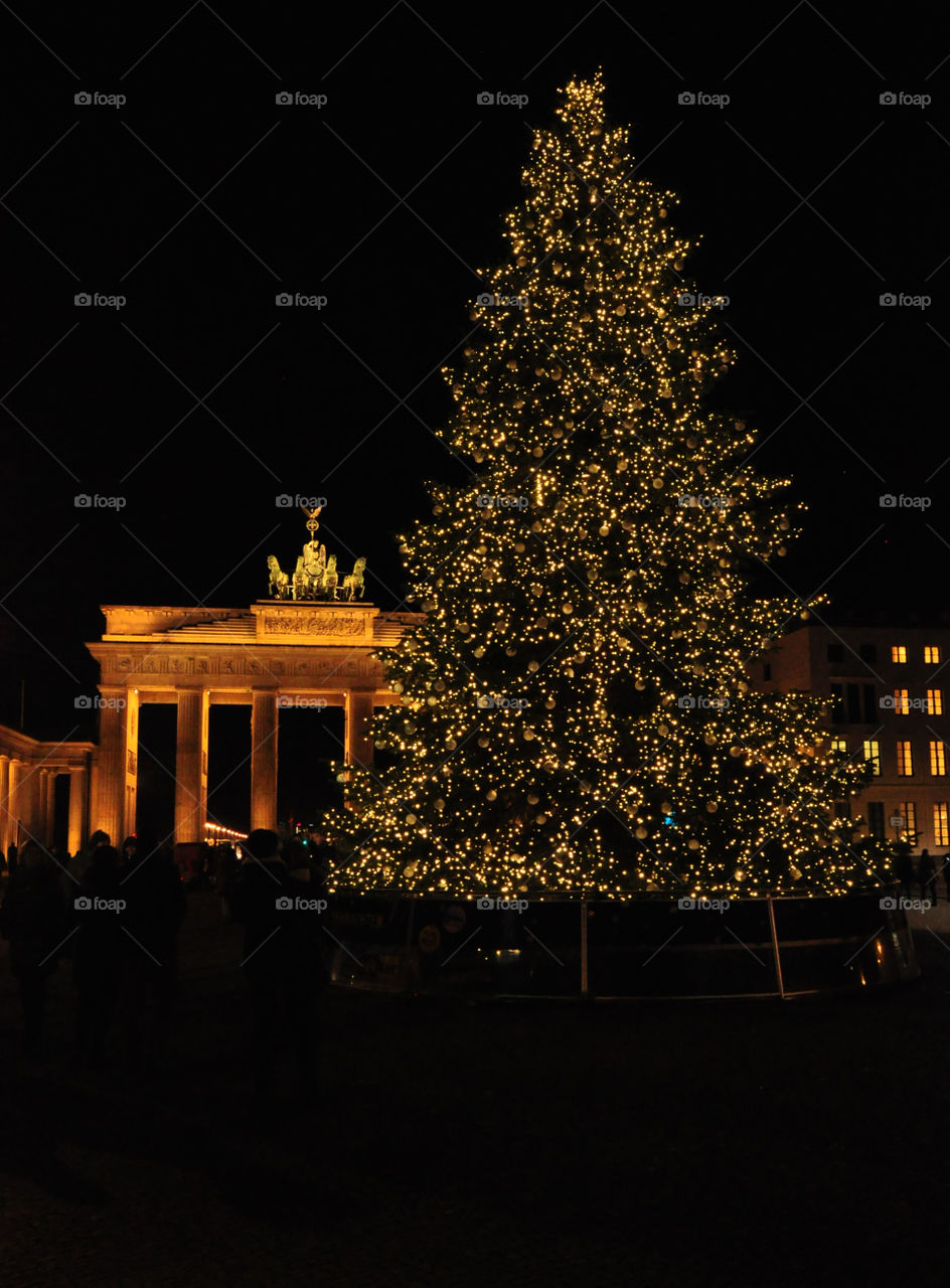 No Person, Tree, Architecture, Light, Winter