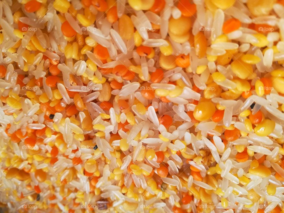 Rice