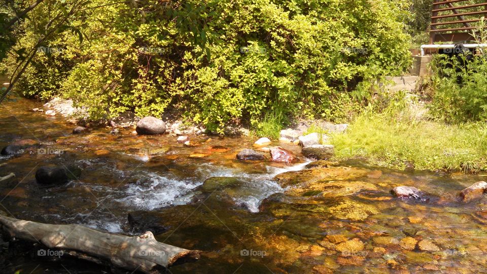 Water, Nature, Leaf, Stream, River