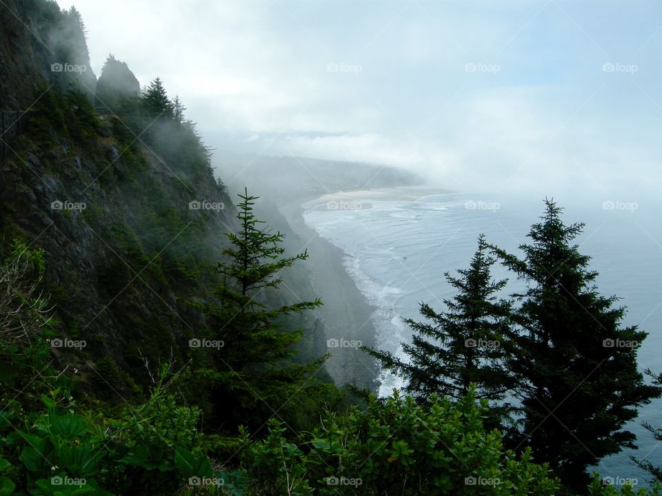 View of Oregon coast with fog