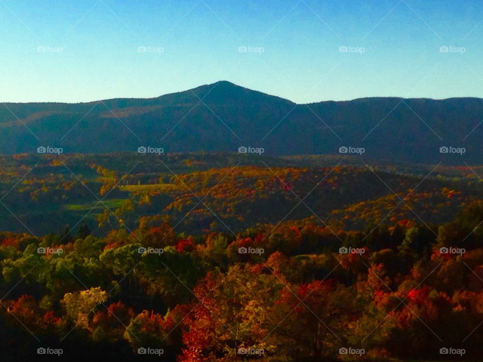 Fall, Landscape, No Person, Tree, Mountain