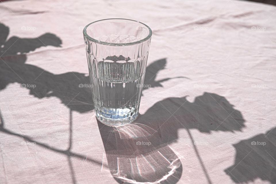 Shadows of leaves and a glass with water 