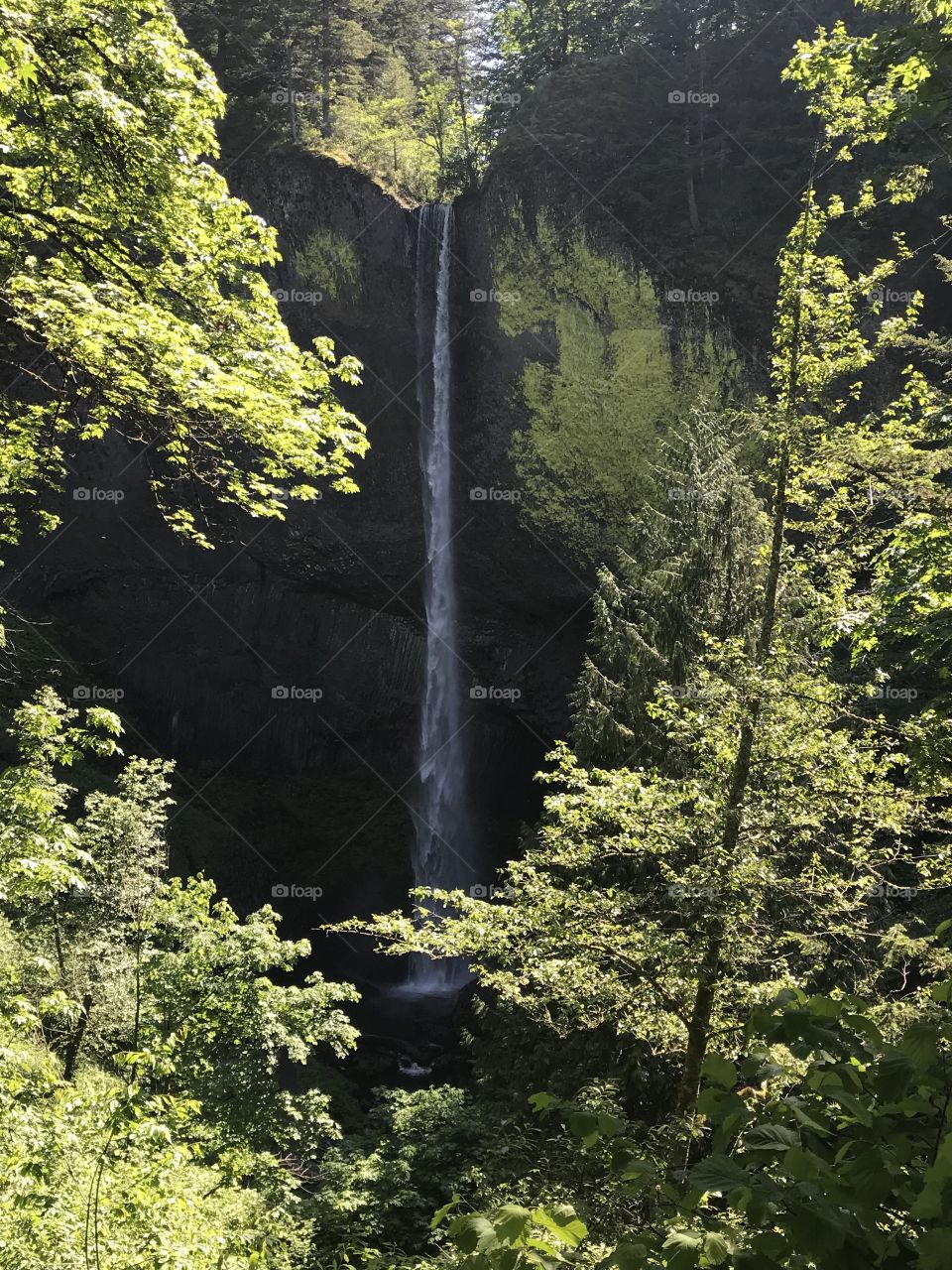Falling for you at Columbia River Gorge 
