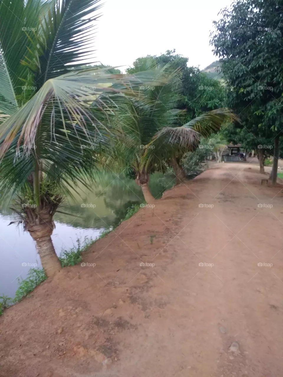 lindo
