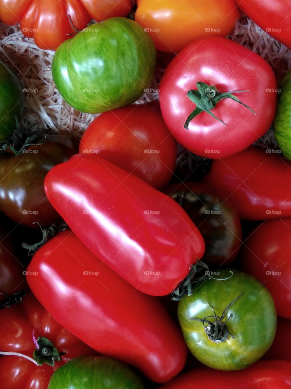 different tomatoes