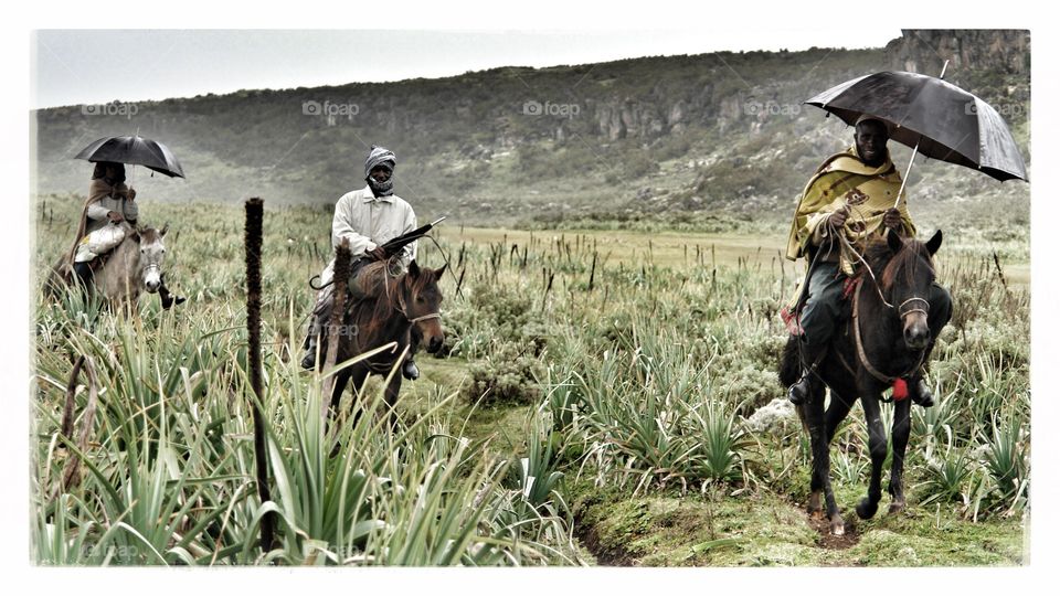 Who says you can't use an umbrella whilst on a horse? . A trio of Ethiopians using their umbrellas on horseback