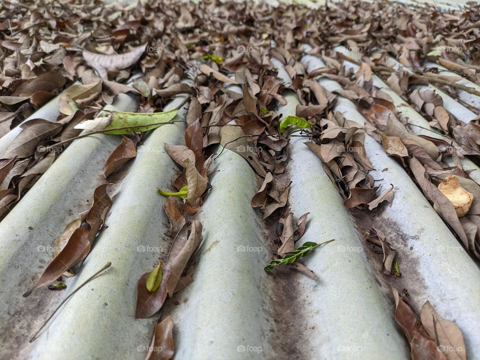 dry leaves piled up on asbestos
