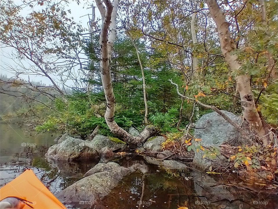 view from a kayak