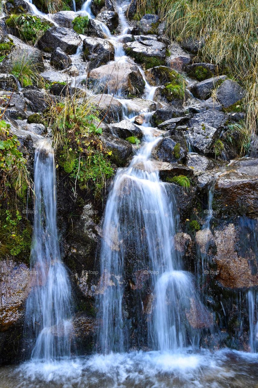 Nature 🏞️