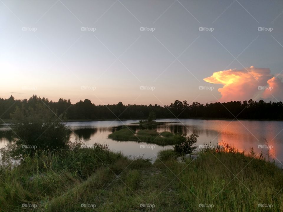 peaceful pond sunset