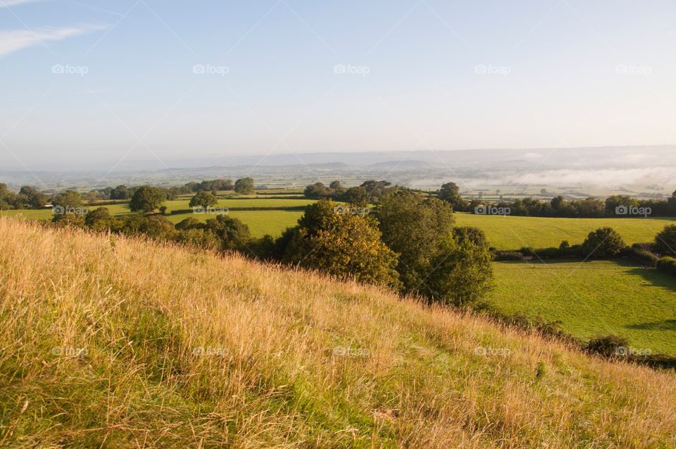 England fields 