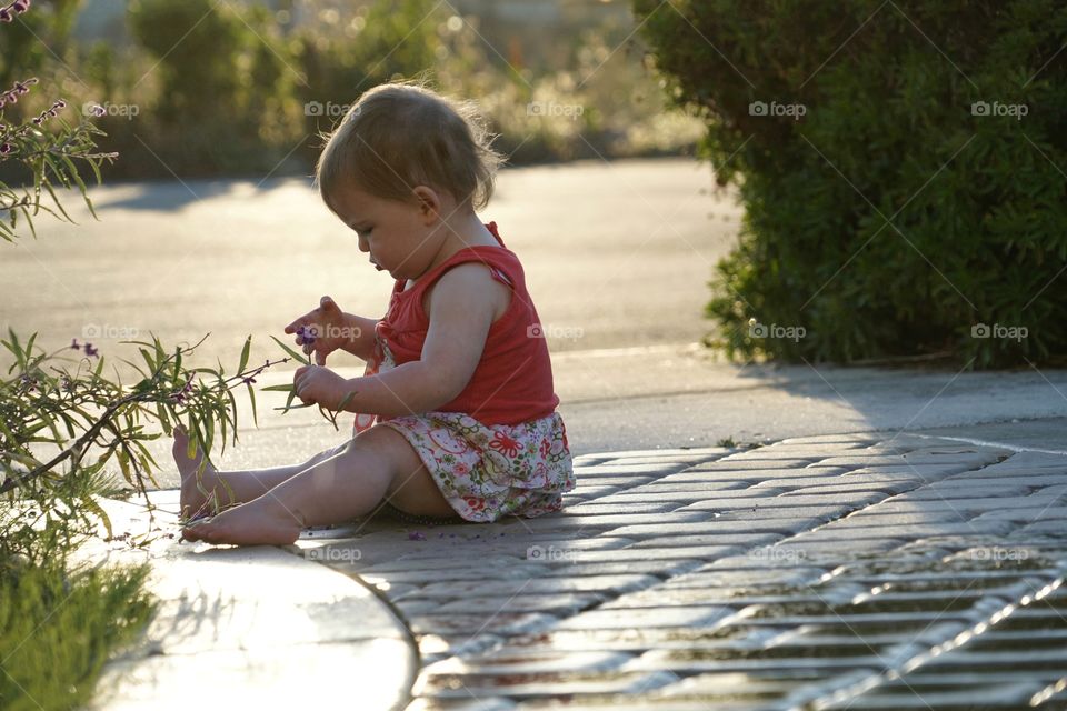 Baby Girl Outdoors In Golden Hour