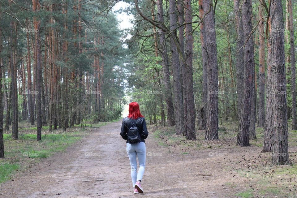 Walk in forest