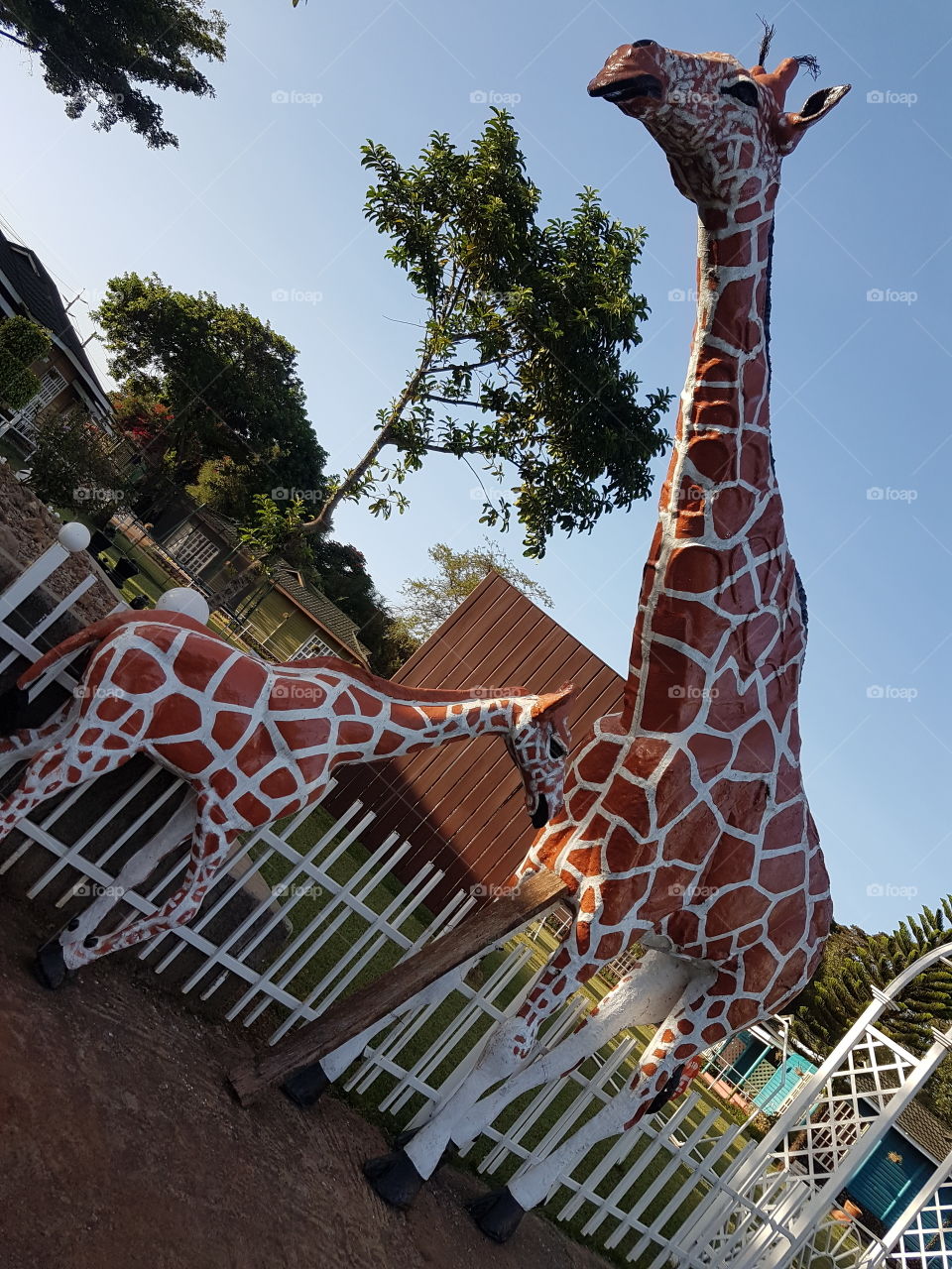 Some giraffes being represented
