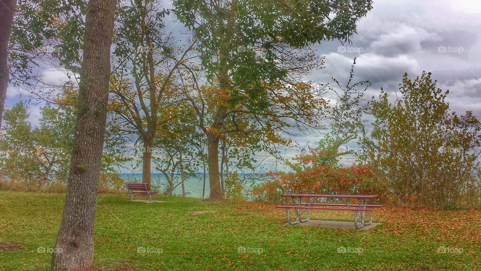 Nature. Bench Overlooking Lake Bluff