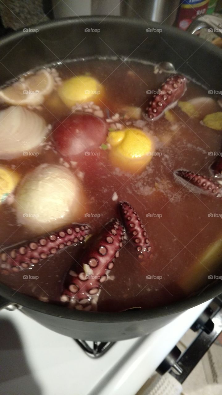 octopus bath