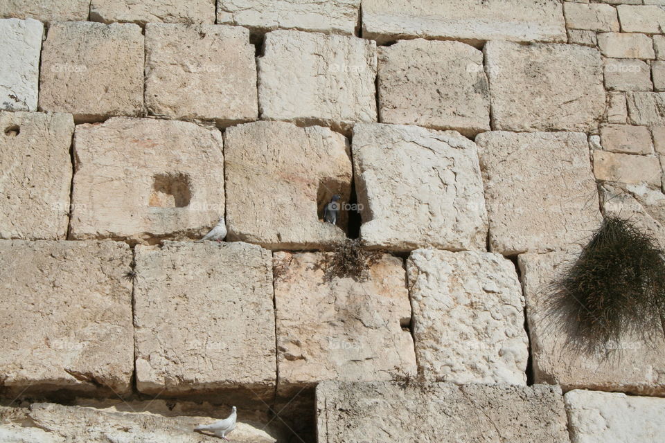 The Kotel  - The Western Wall in Jerusalem
