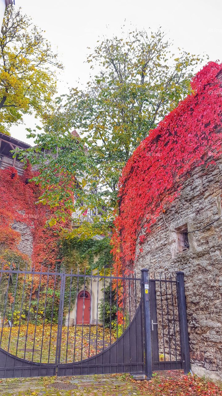 Tallinn old town