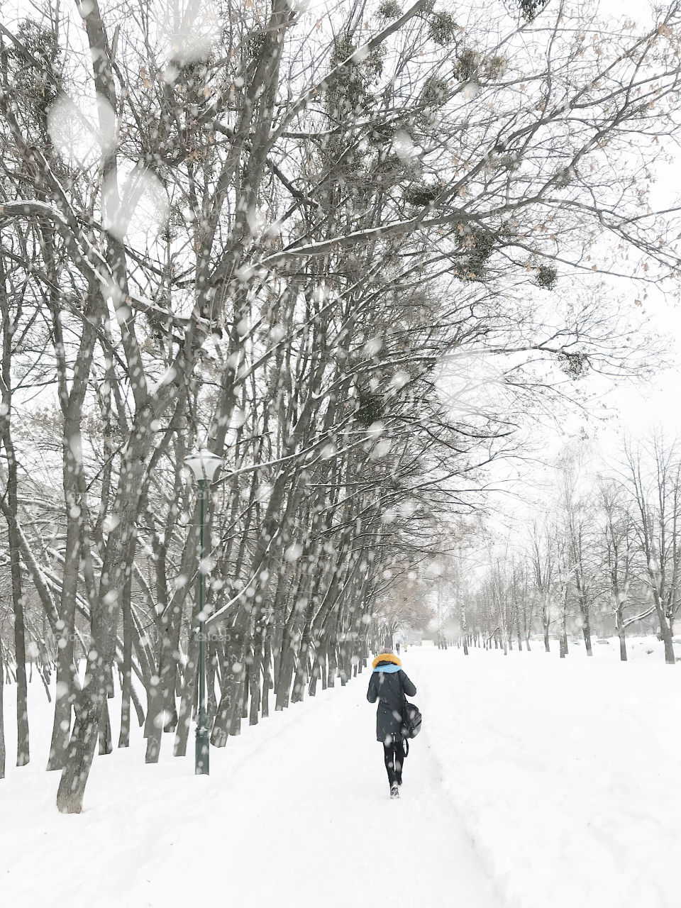 Tiny human walking in winter under the snow covered trees 